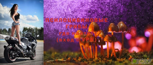 марки lsd Карпинск