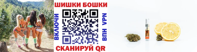 Марихуана THC 21%  Купить где  Михайловка 